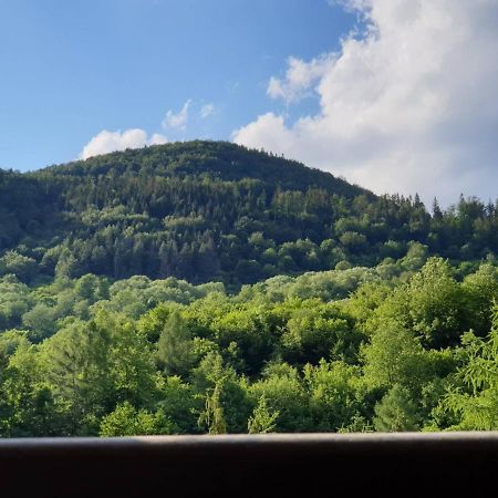Apartman Viktoria Terchova Bagian luar foto