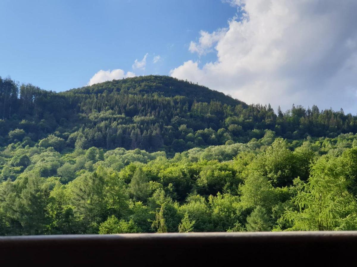 Apartman Viktoria Terchova Bagian luar foto